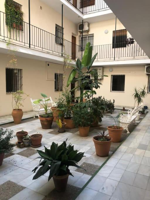 Sevilla San Bernardo Apartamento Exterior foto